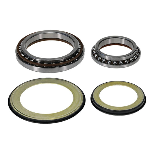 Steering Head Bearing & Seal Kit 22-1079
